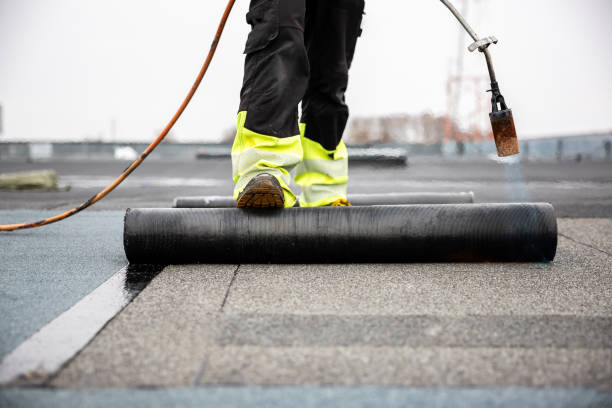 Best Solar Panel Roofing Installation  in Pottsboro, TX